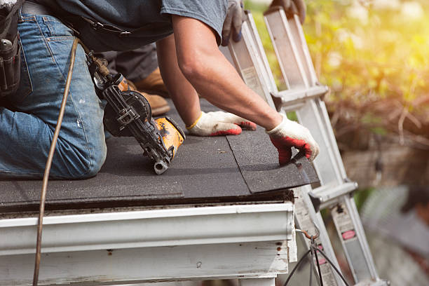 Best Gutter Installation and Roofing  in Reynolds Heights, PA